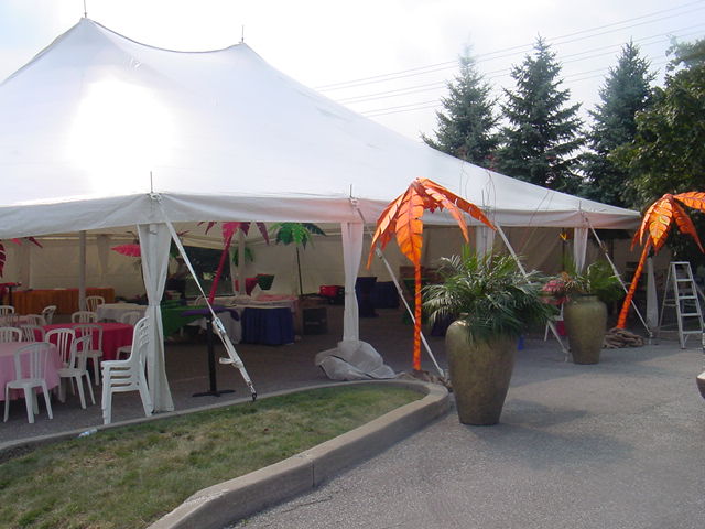 60 X 60 WHITE POLE TENT (For up to 360 people)