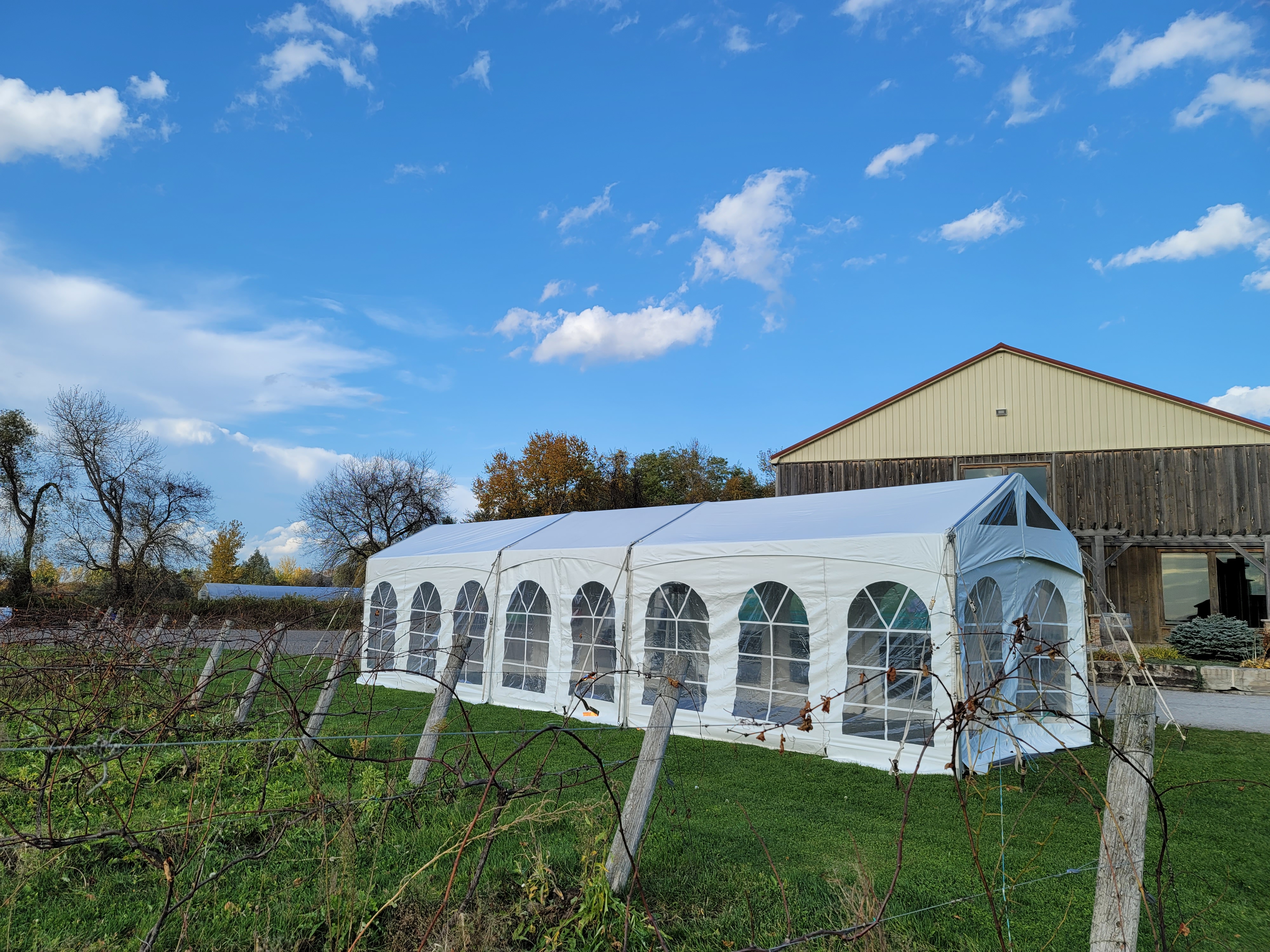 10X60 ULTIMATE FRAME WHITE TOP TENT