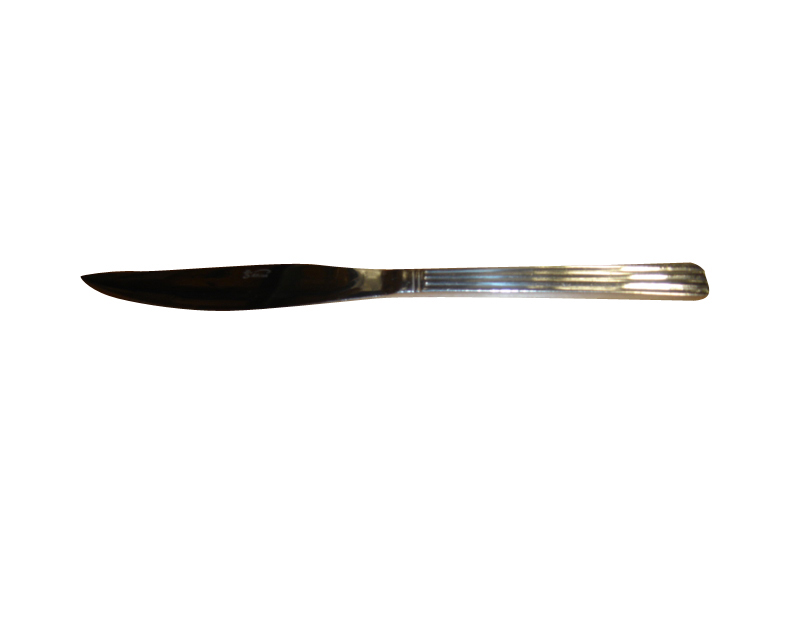 S/S ARIA STEAK KNIFE